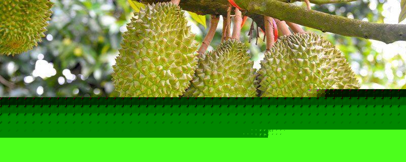 假面骑士 平成世代 终章 创骑与艾克赛德联手传奇骑士 相关产品