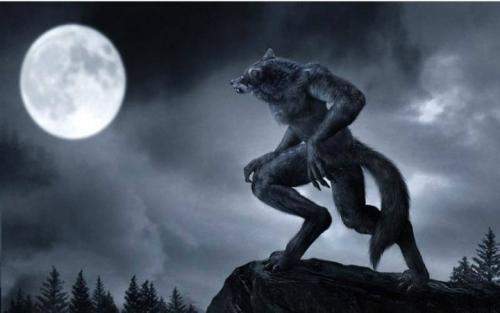 厄勒克特拉 2023 相关产品