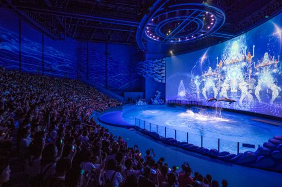 冰川鲨鱼 相关产品