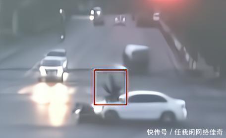 圣阿加莎 相关产品