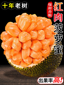 传输失败 推荐产品