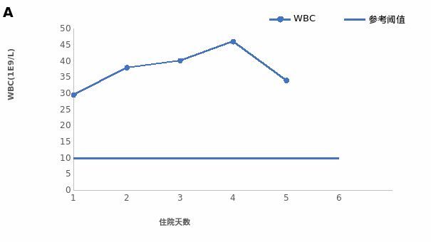 傀儡姬 相关产品