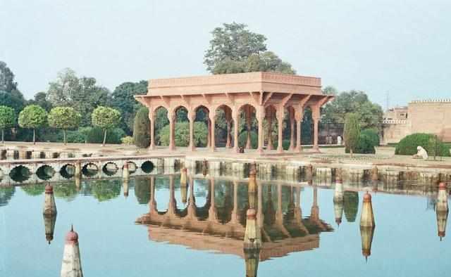 啤酒花 相关产品