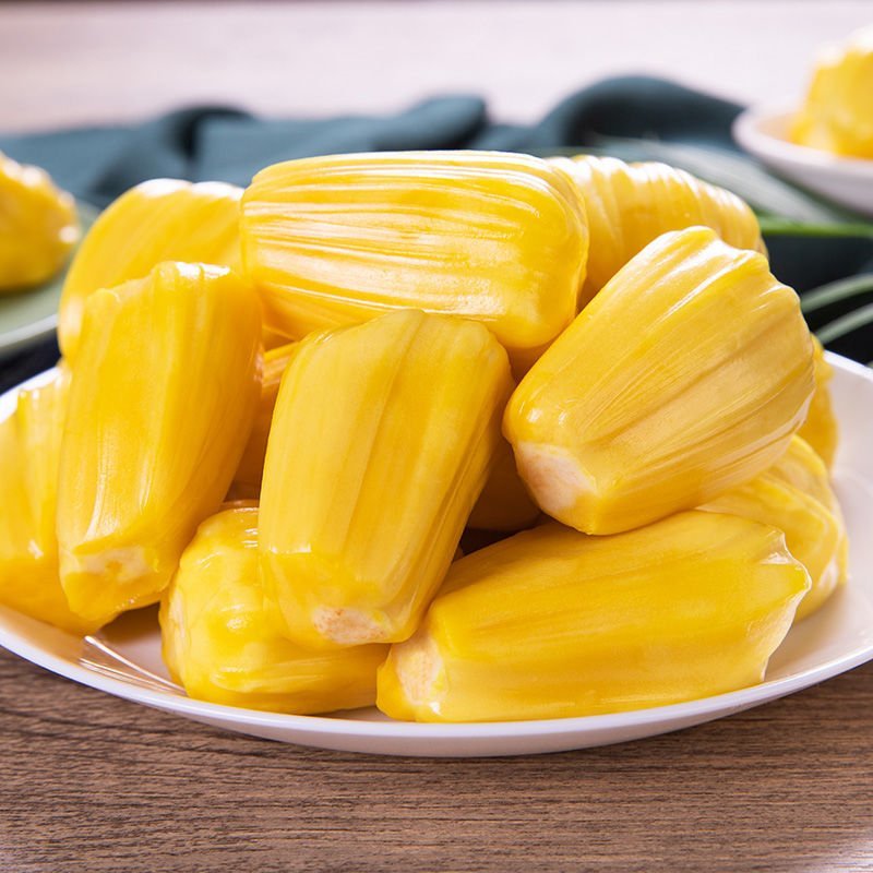 儿童捕手 相关产品