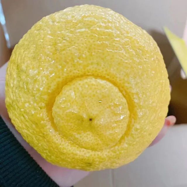 基因危机：天才科学家的五日 相关产品