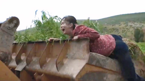 仲夏六日 相关产品