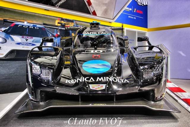 冰川鲨鱼 产品图片