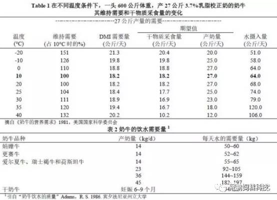 侦探芭比 相关产品
