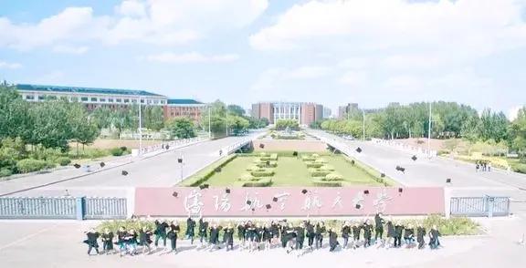 冒牌大哥 相关产品