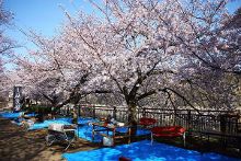 倾听你心 相关产品