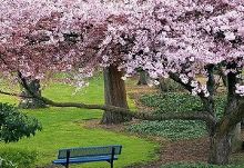 再见，男孩 产品图片