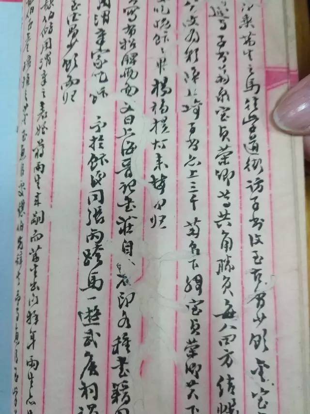 凤舞红尘 产品图片