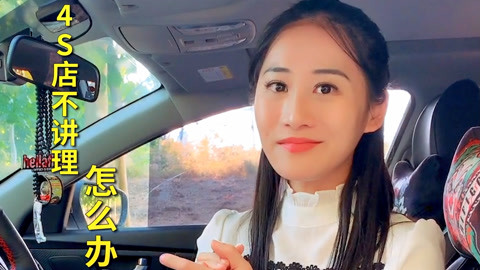 史瑞克外传:欢度圣诞