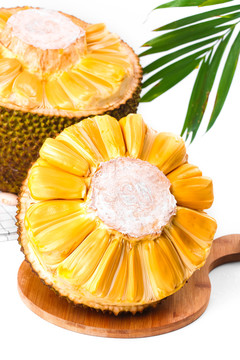 任性的硬币 相关产品