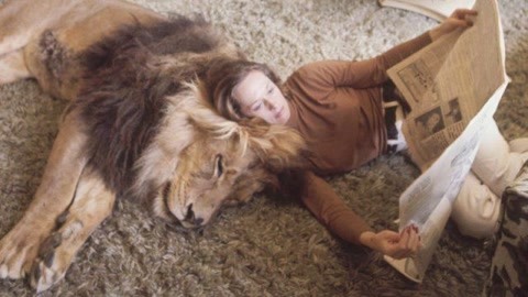 圆梦巨人（原声版） 产品图片