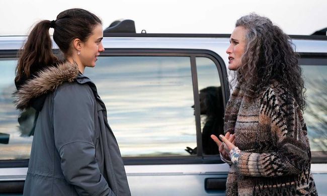 任性的硬币 产品图片