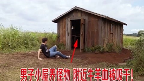 咕噜咕噜美人鱼2 相关产品