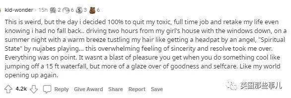 侠盗高飞（国语版） 产品主图