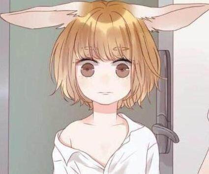 伊斯梅尔 相关产品