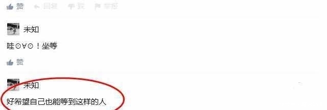 吉尔莫·德尔·托罗的匹诺曹 产品图片