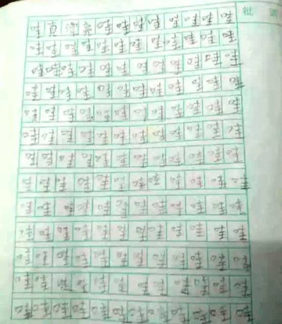 偷龙转猫 产品图片