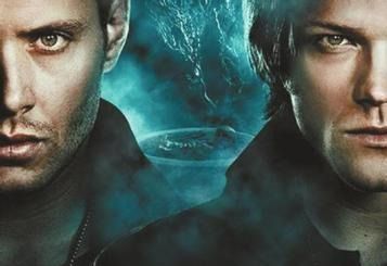 催泪剂 产品图片