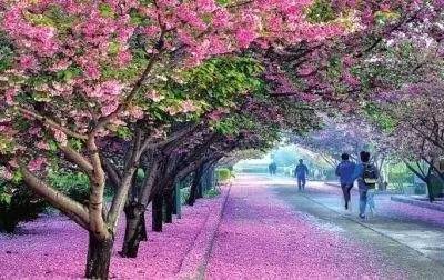 你在这里 相关产品