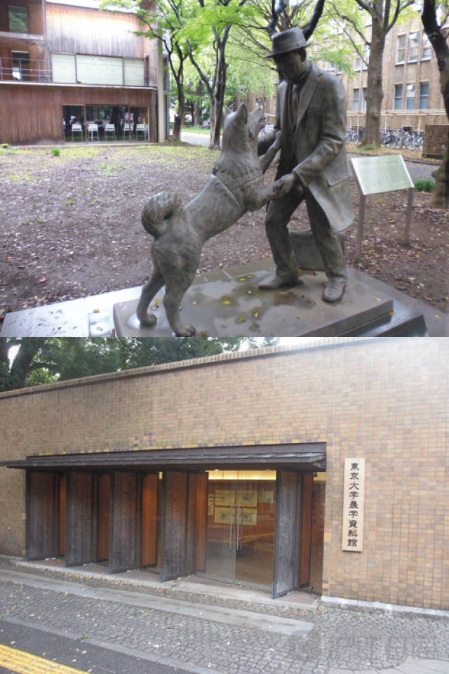 农民院士 相关产品