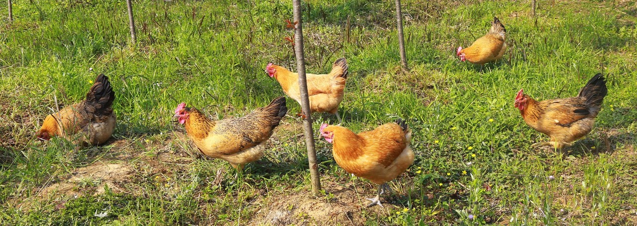 余生那些年 产品图片