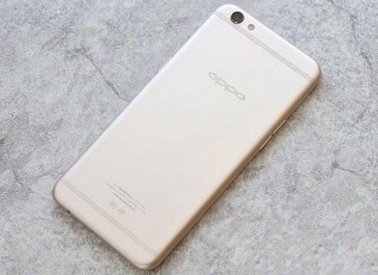 信念一生 相关产品