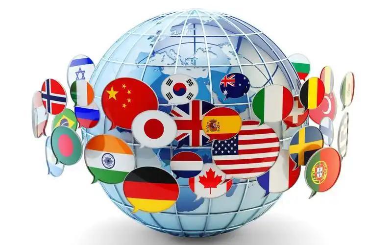 元首偷走了粉兔子 相关产品