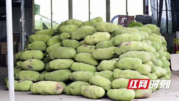 伪装大师2：完美骗局 产品图片