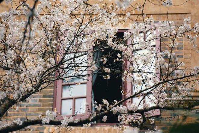 保沃历险记 产品主图