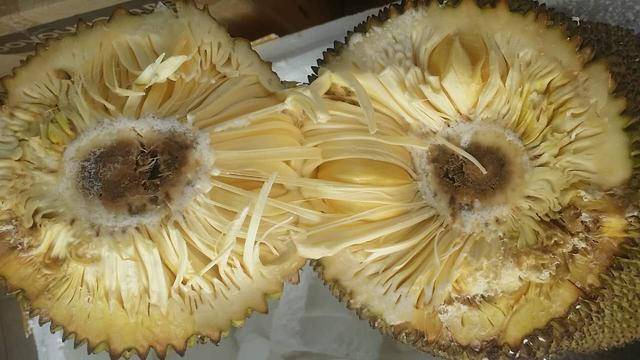 你是最美 相关产品