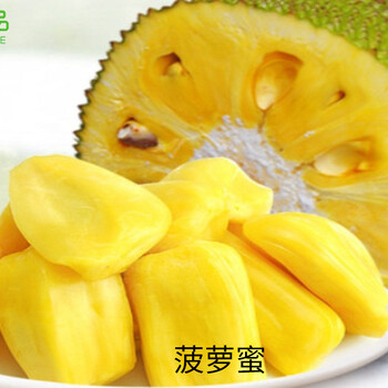 倭寇的踪迹 产品图片