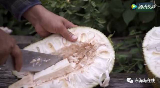 国家代表 相关产品