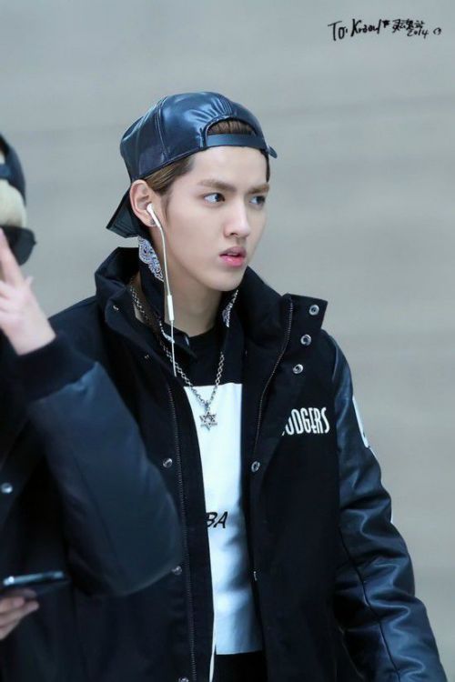 倚天屠龙记之魔教教主（国语版） 相关产品