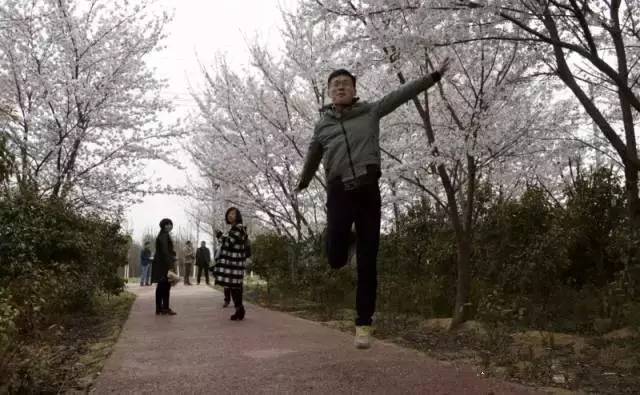 哦，香雪 产品图片