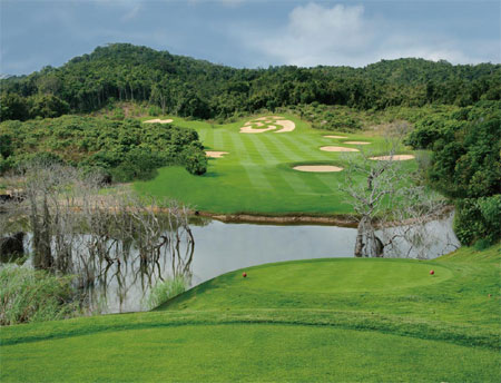 发条橙 推荐产品