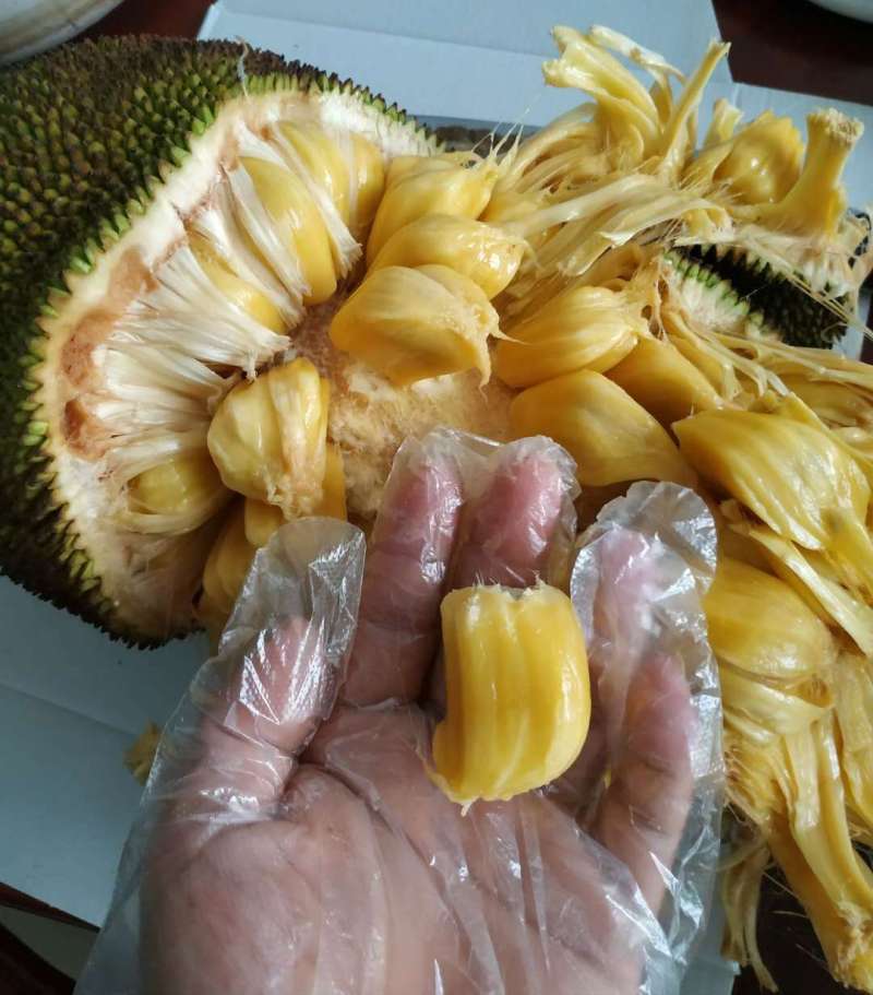 东京大饭店 特别篇 产品主图