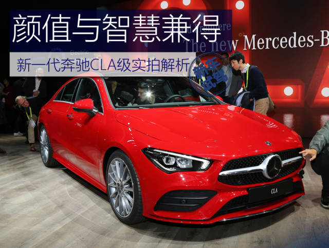 冰川鲨鱼 相关产品