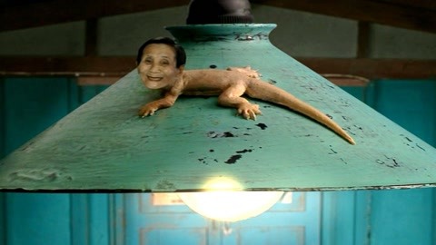 假日总动员 产品主图