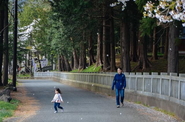 侠僧探案传奇之洛阳花会 相关产品