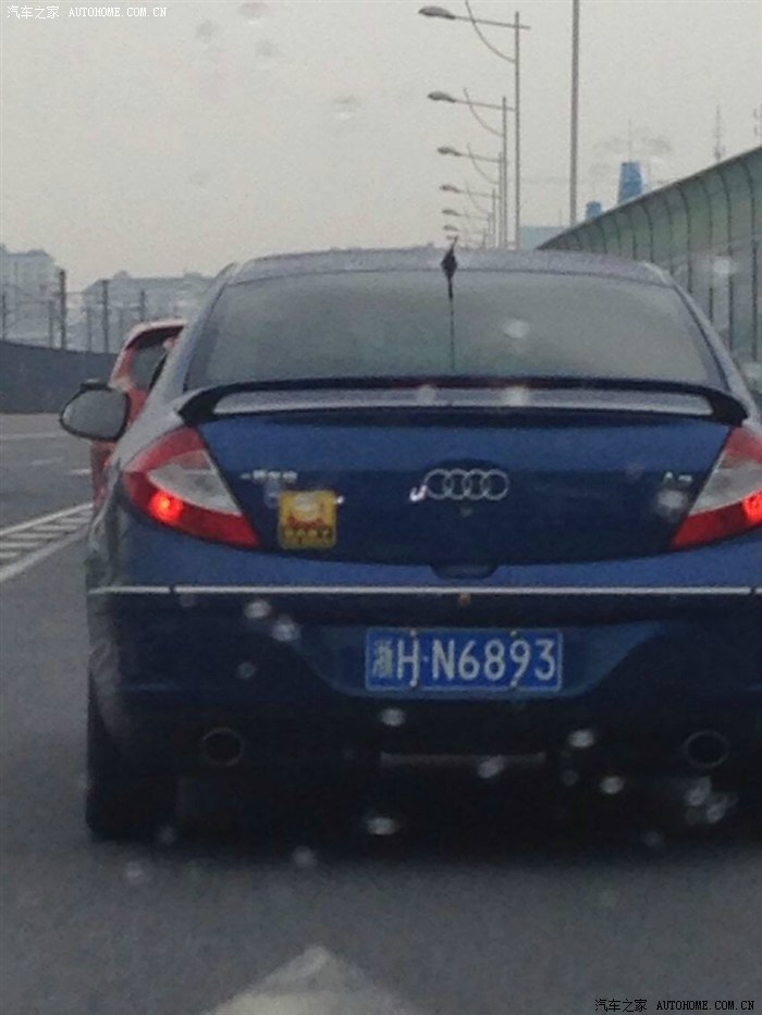 假如猫从世界上消失了