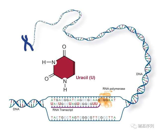 偷听女人心 产品主图