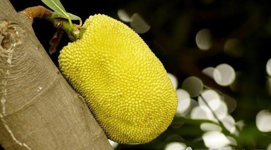 变身特工 相关产品