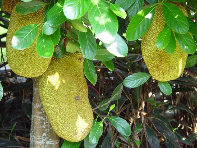 坐着火车上北京 产品图片