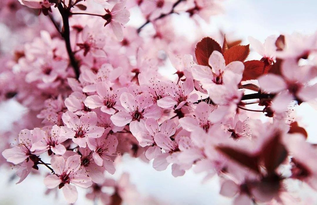 假面病房 推荐产品