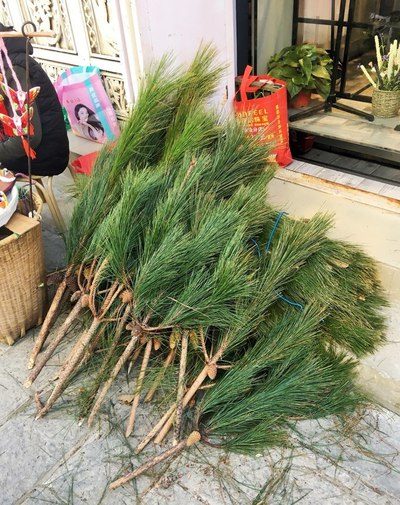 住在空中 产品主图