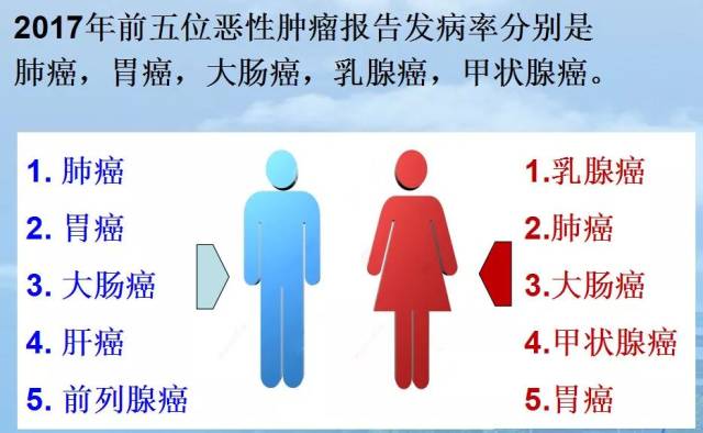 何去何从 产品图片